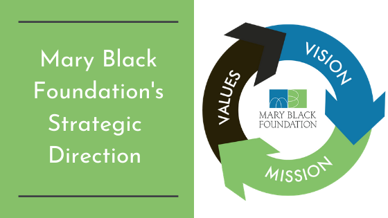 Mary Black Foundation's Strategic Direction