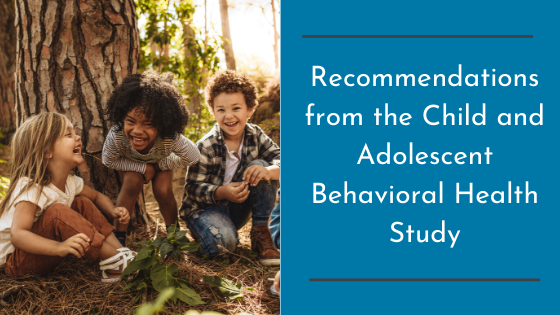 Recommendations from the Child and Adolescent Behavioral Health Study