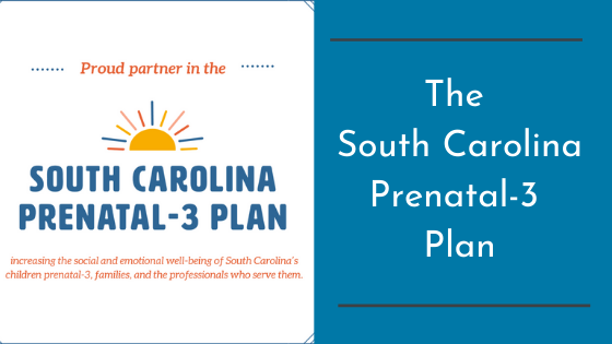 The South Carolina Prenatal-3 Plan
