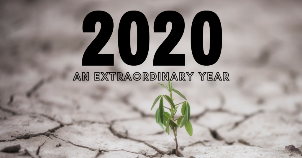 Celebrating Mary Black Foundation's History: 2020