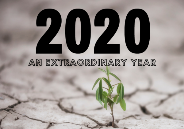 Celebrating Mary Black Foundation’s History: 2020