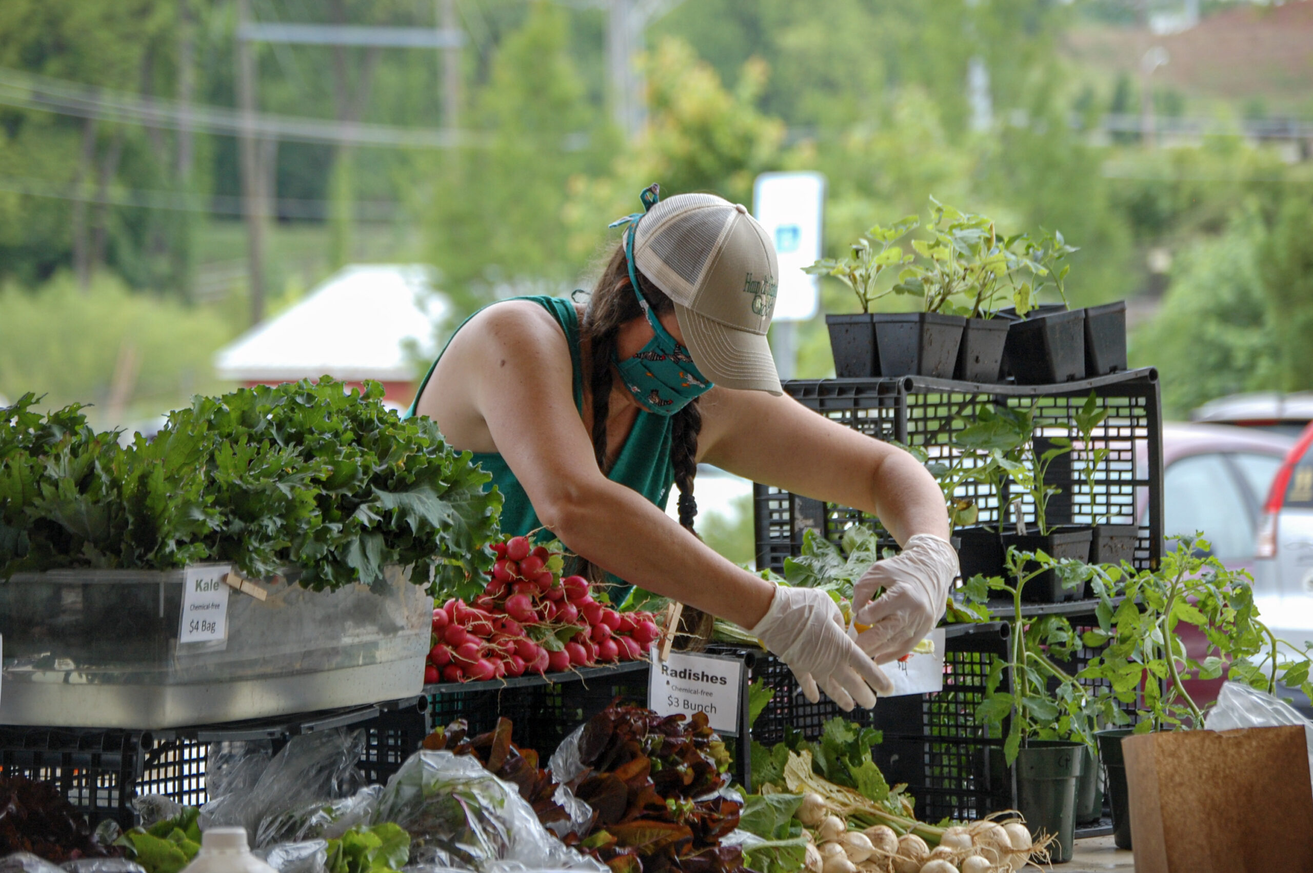 Hub city farmers market spartanburg